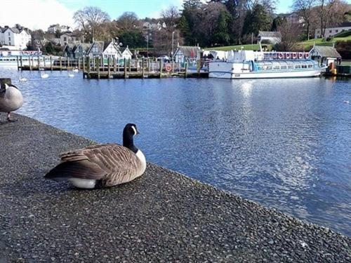 Holmlea Guest House Exclusively For Adults Windermere Eksteriør billede